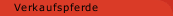 Verkaufspferde