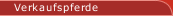 Verkaufspferde